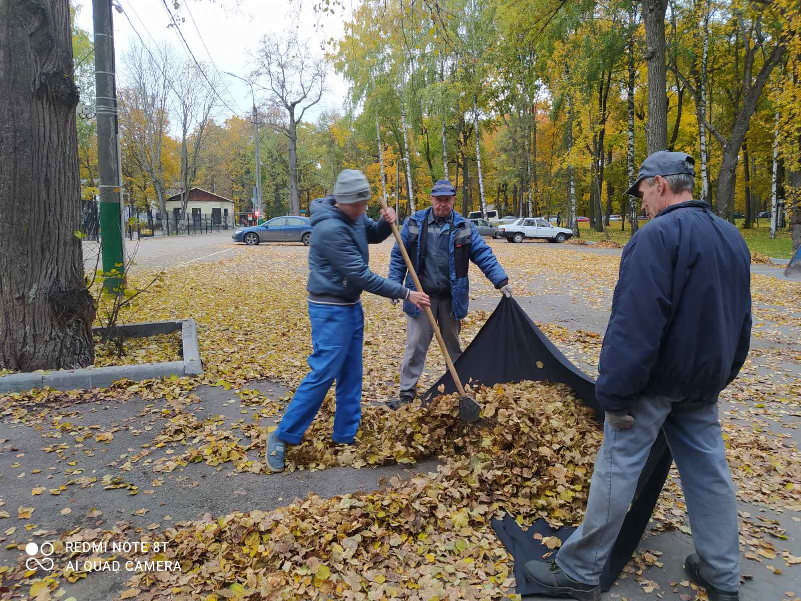 Уборка листвы