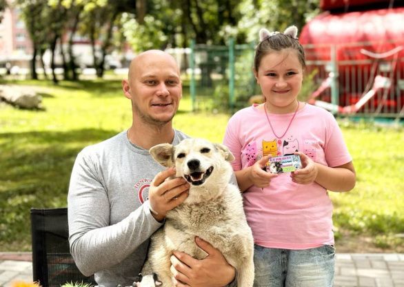 День защиты бездомных животных. День защиты бездомных животных.