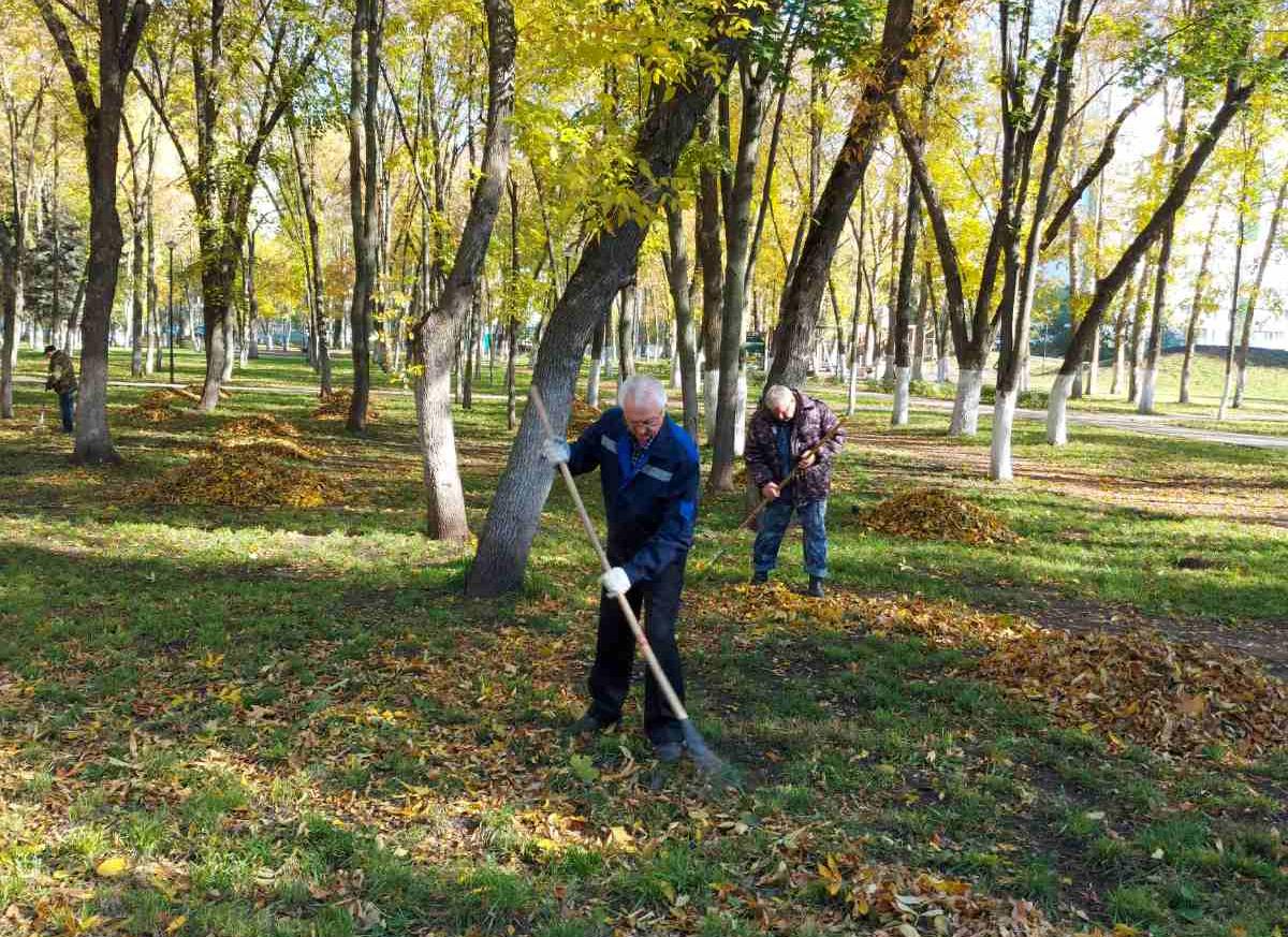 Благоустройство. Октябрь
