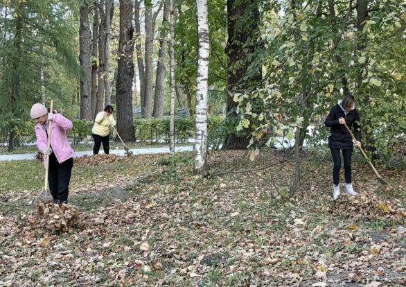 Сотрудники парка провели уборку территории