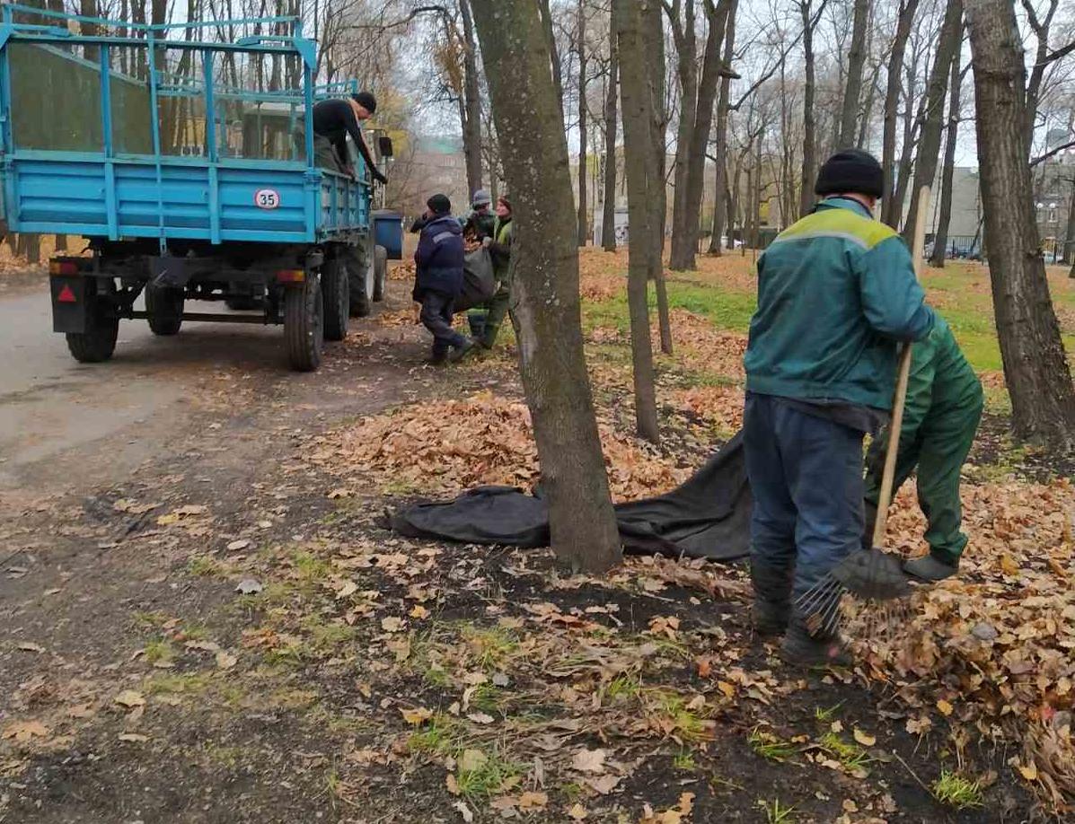 Осенние работы