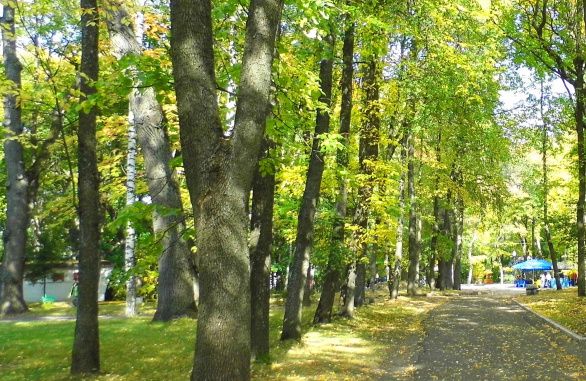"Изумрудное сокровище Пензы"  Стихи поэтов о парке...