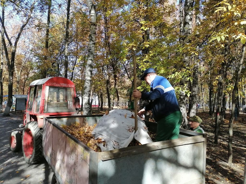 Уборка опавшей листвы 