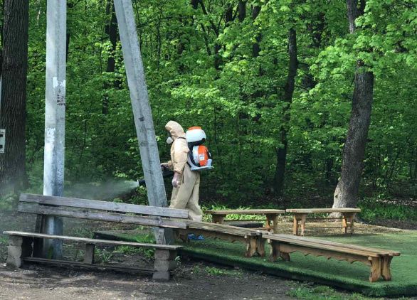 Акарицидная обработка Олимпийской аллеи Акарицидная обработка Олимпийской аллеи