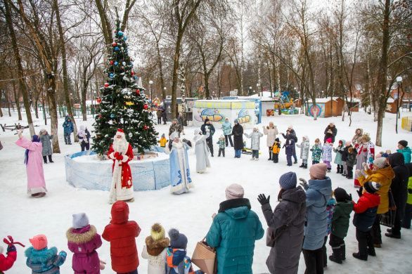 Новогодние представление в Детском парке