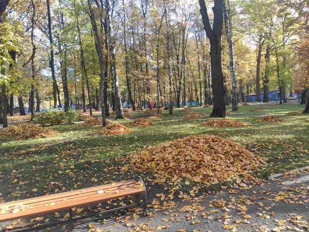 Благоустройство. Октябрь