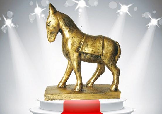 "GoldenPony - 2016"
