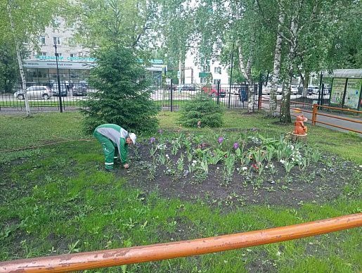 Благоустройство. Май 2023