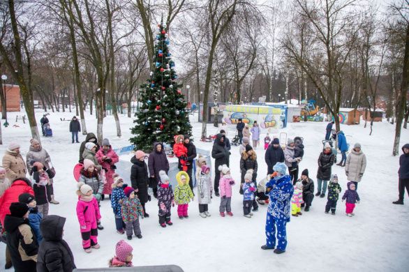 Новогодние чудеса и зимние забавы...