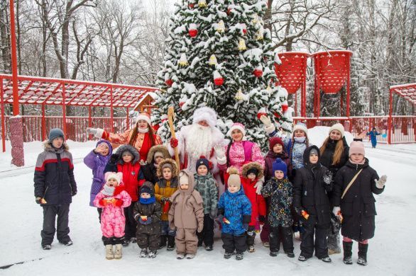 Первое новогоднее представление 