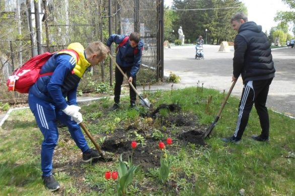 Восстановим лес вместе