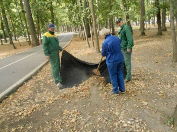 Субботник в парке Белинского