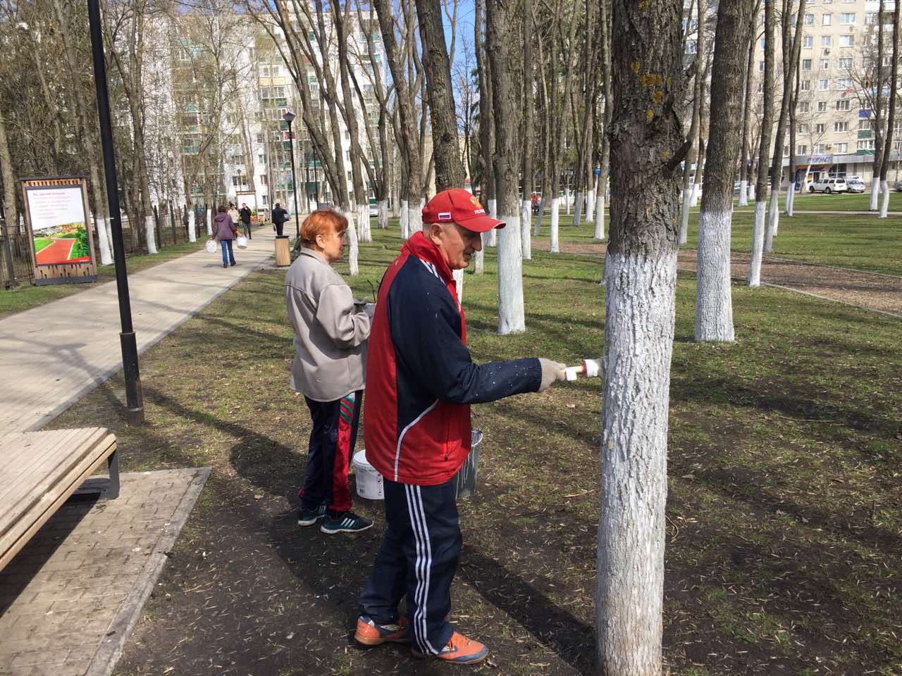 Благоустройство территории