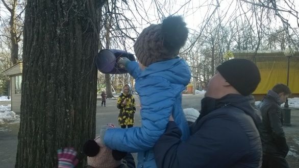 "День добрых дел"