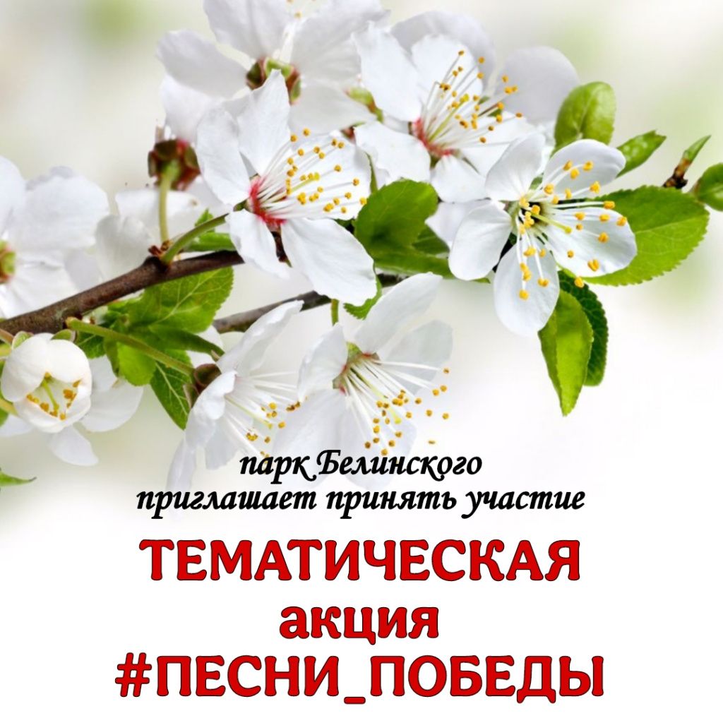 Picsart_25-03-26_14-39-57-025.jpg Picsart_25-03-26_14-39-57-025.jpg