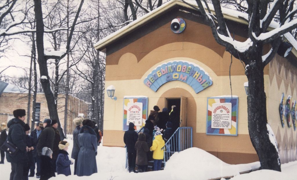 необыкновенный дом.jpg