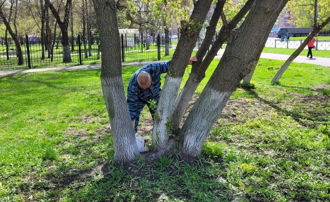 Благоустрой. Апрель 2024